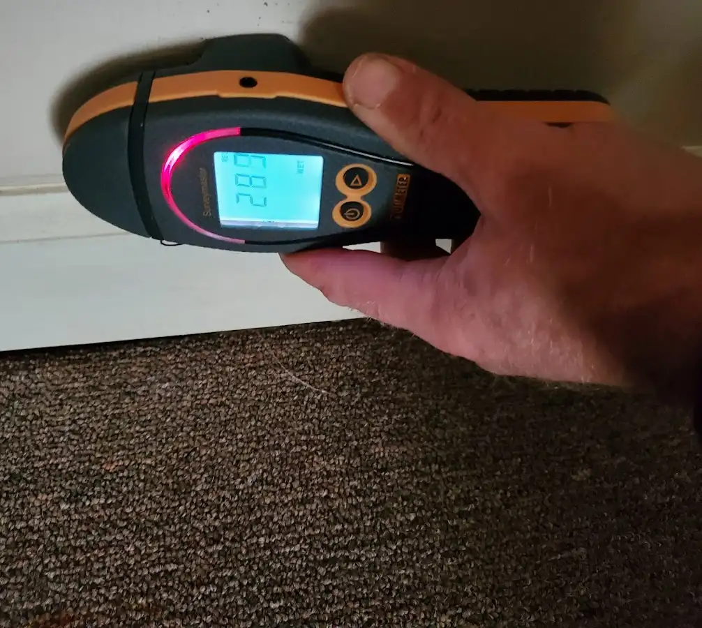 Moisture detection at baseboard during Mold Inspection & Testing in Elgin